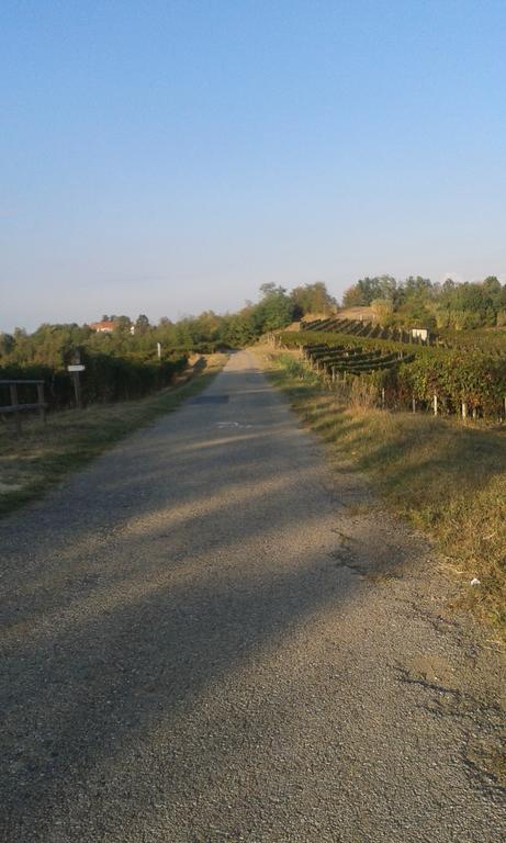 Vista Sul Patrimonio Dell'Unesco Cortiglione Kültér fotó